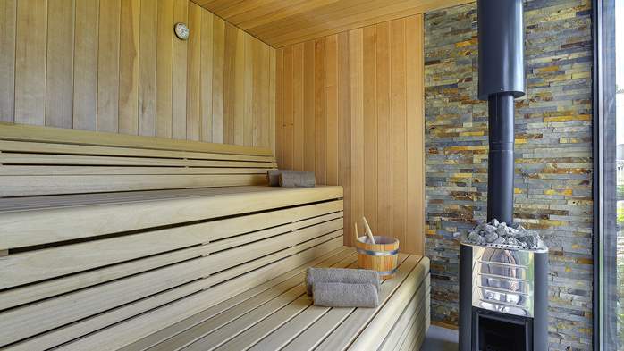 Neodoljiva vila s finskom saunom, teretanom i privatnim bazenom, 19