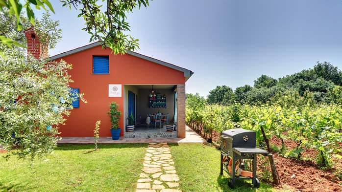 Casa irresistibile a Medulin con piscina e giardino privato, 6