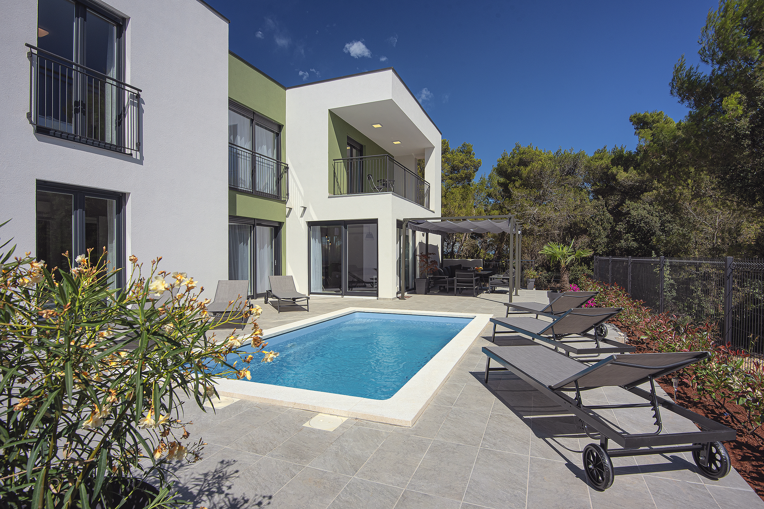 Modern villa surrounded by greenery with private pool