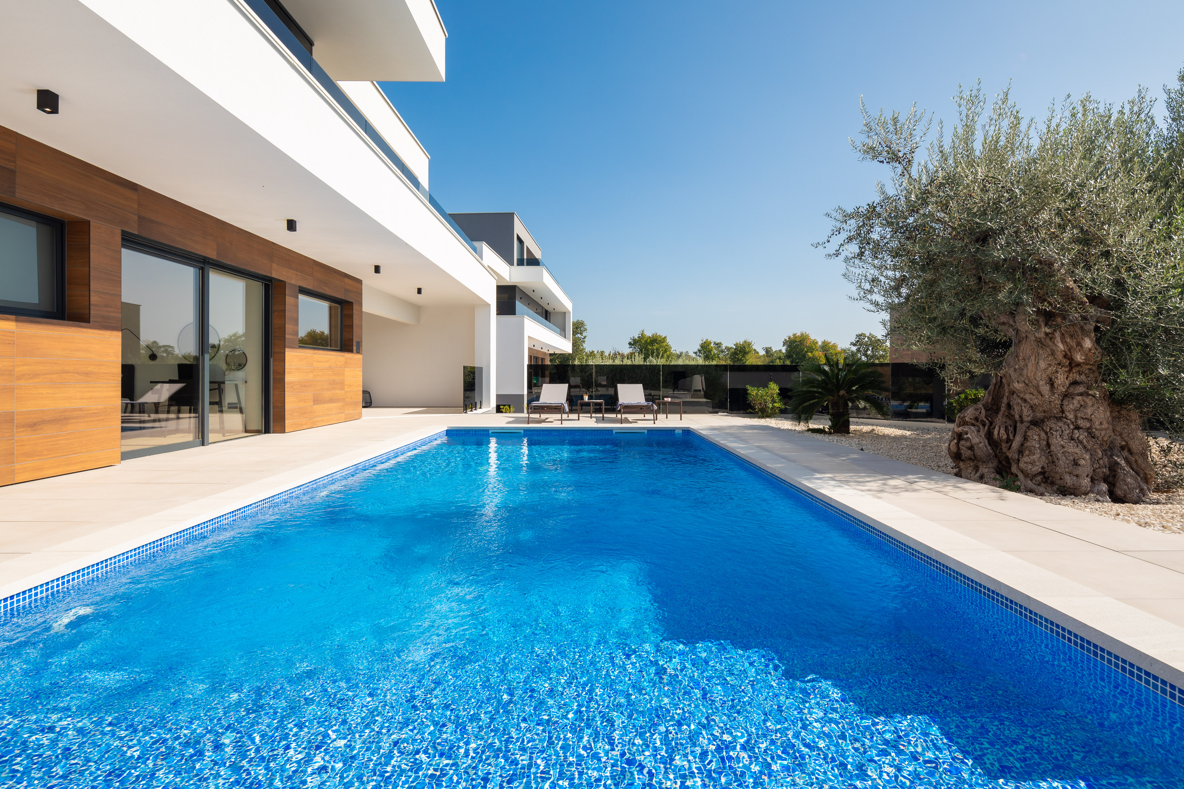 Luxury Villa Old Olive V with private pool