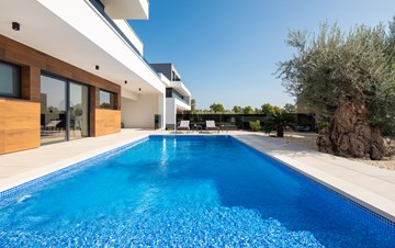 Luxury Villa Old Olive V with private pool
