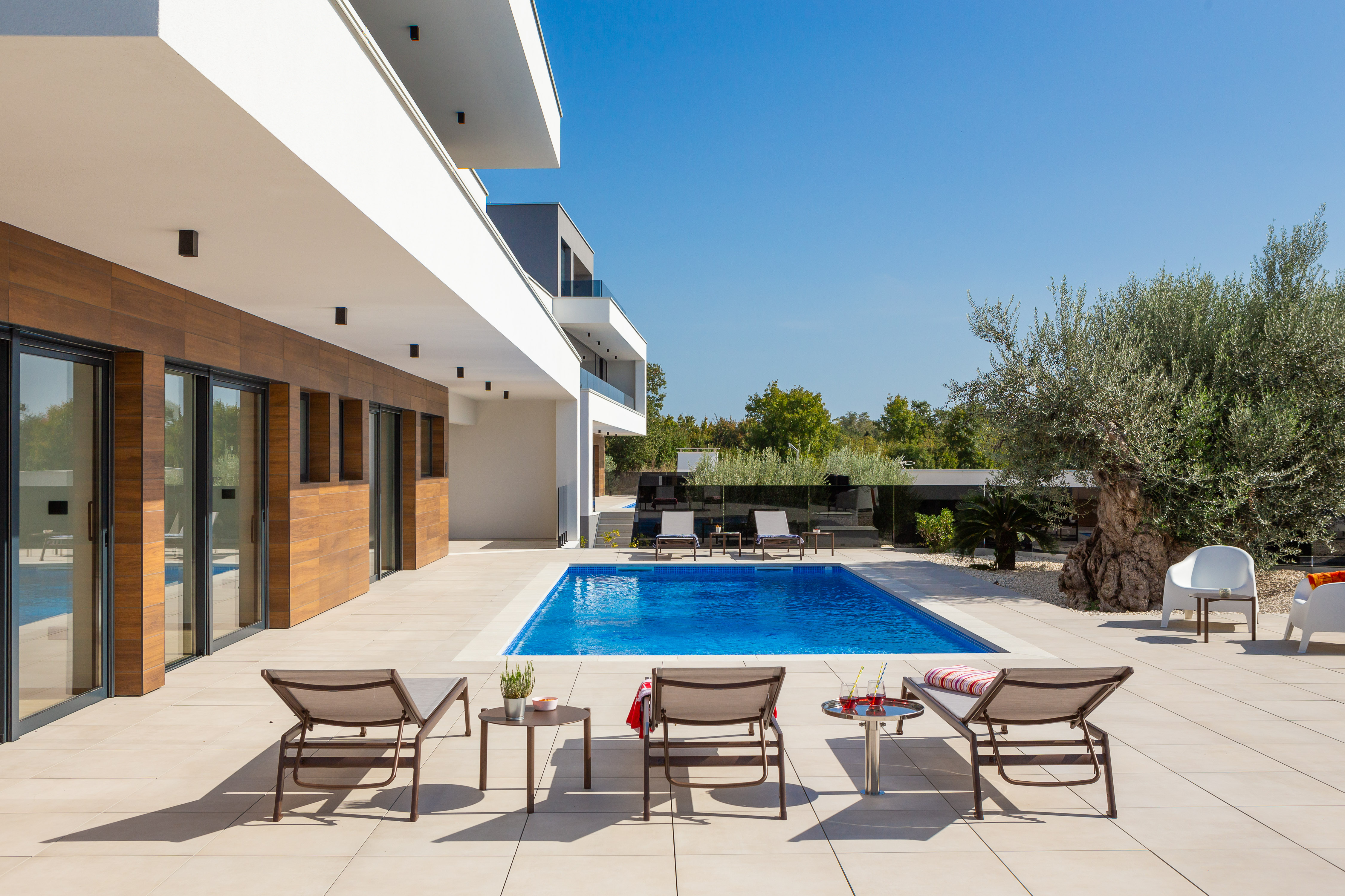 Luxury Villa Old Olive V with private pool
