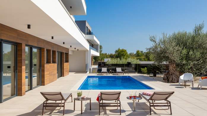 Luxury Villa Old Olive V with private pool, 8