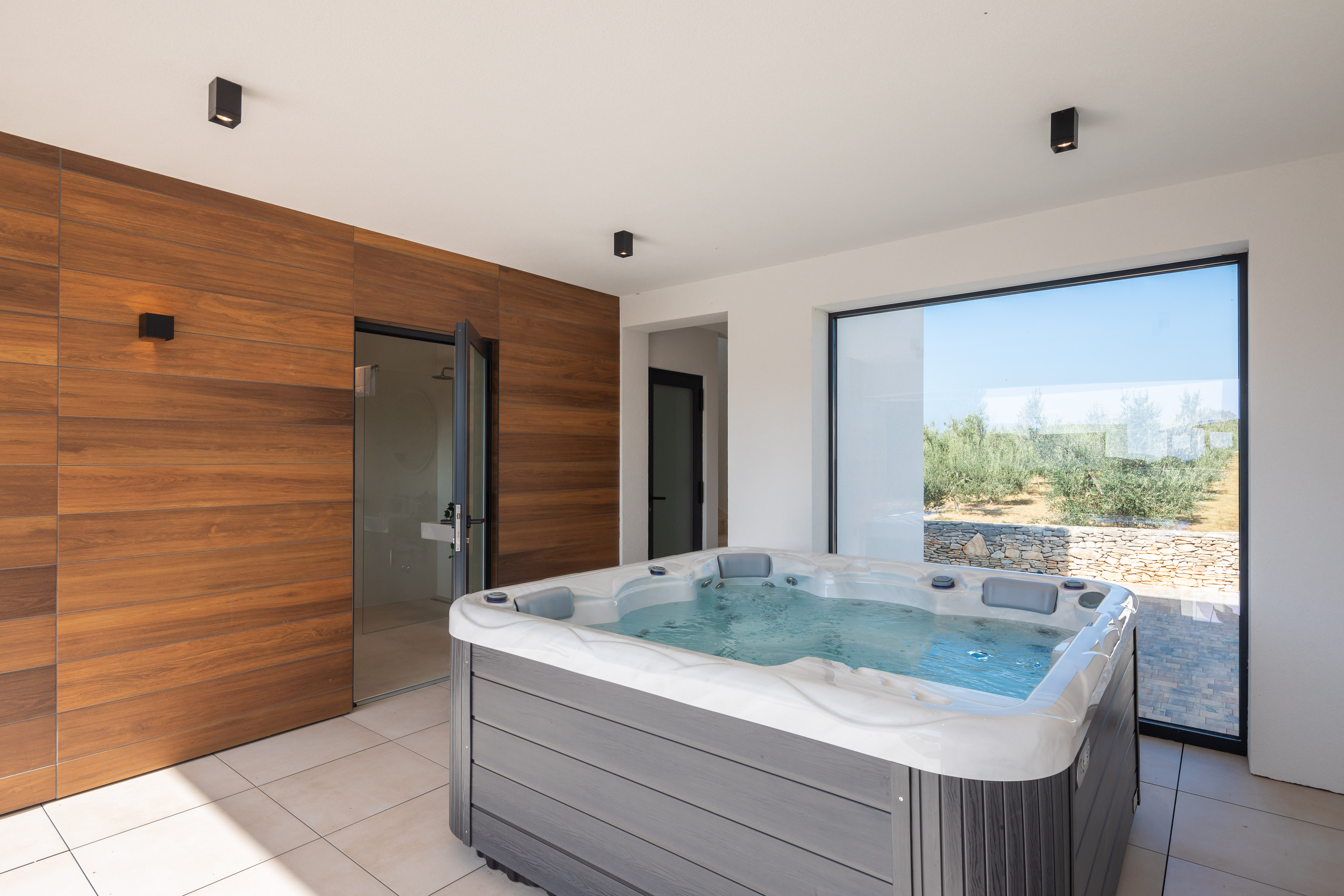 Luxury Villa Old Olive V with private pool