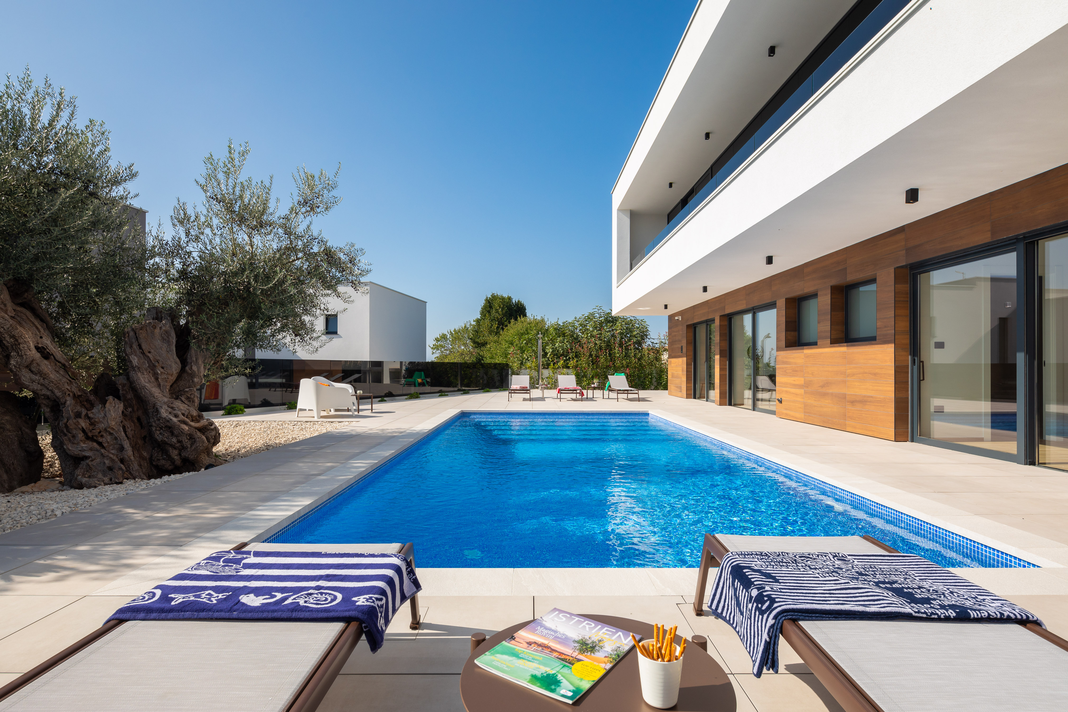 Luxury Villa Old Olive V with private pool