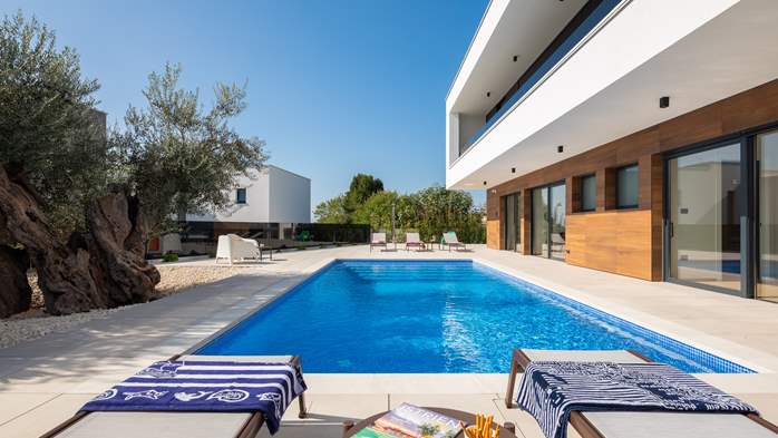Luxury Villa Old Olive V with private pool, 9
