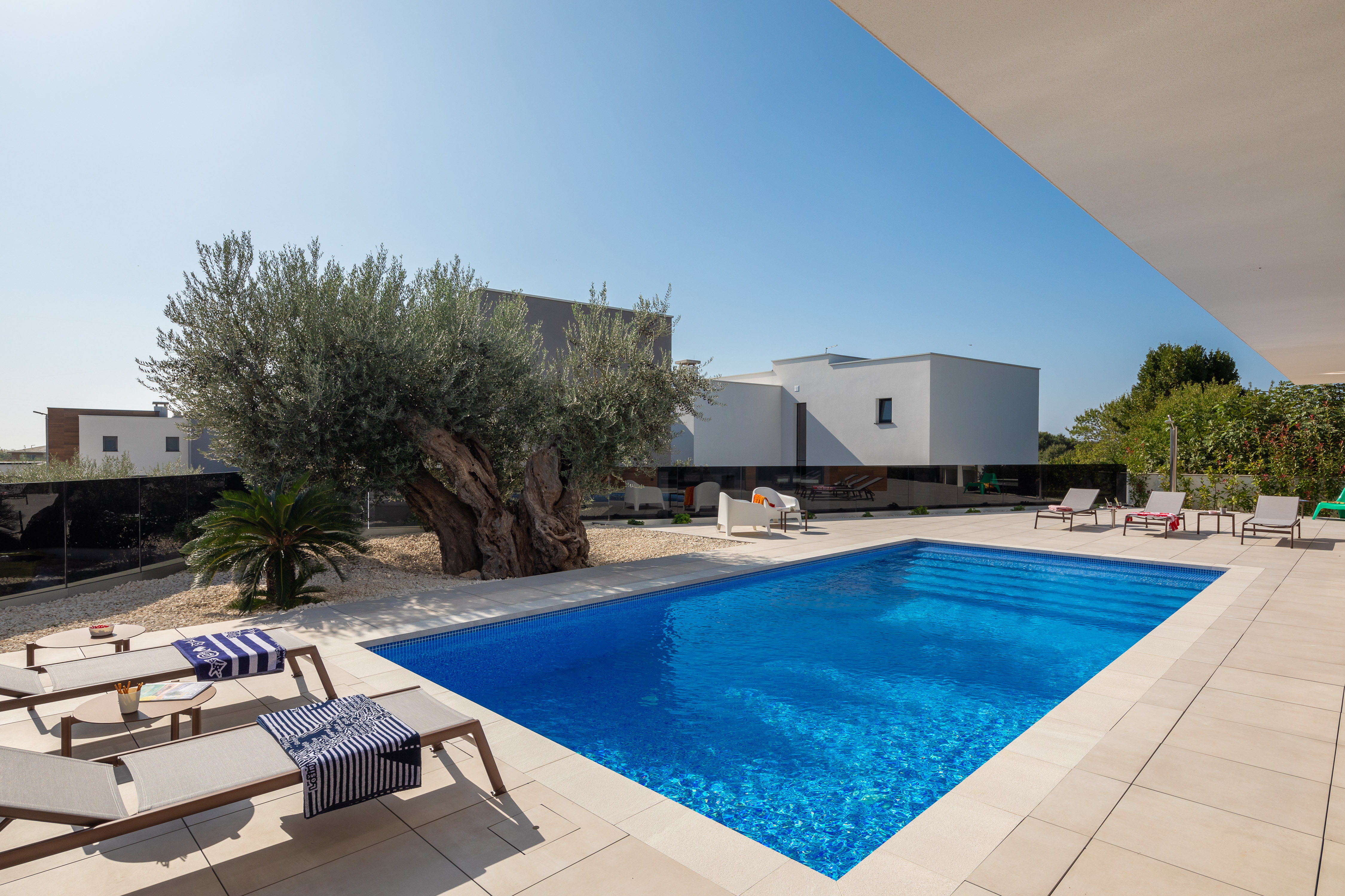 Luxury Villa Old Olive V with private pool