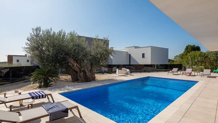 Villa di lusso Old Olive V con piscina privata, 11