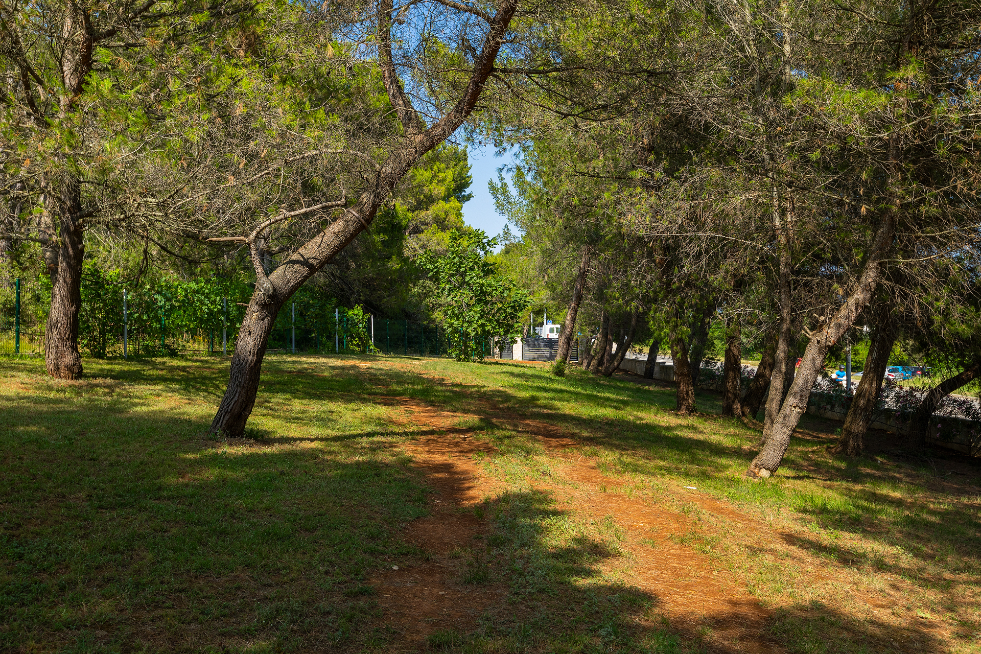 Prostrana obiteljska Villa s bazenom u Puli