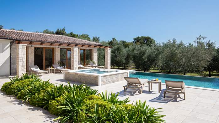 Stone villa with swimming pool and olive grove in the quit area, 7