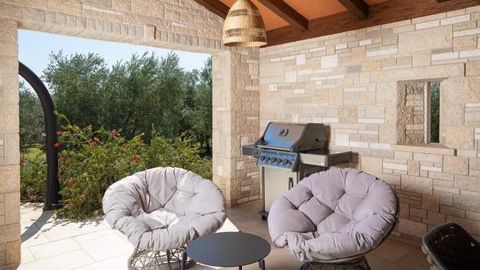 Stone villa with swimming pool and olive grove in the quit area, 18