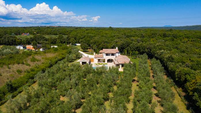 Stone villa with swimming pool and olive grove in the quit area, 26