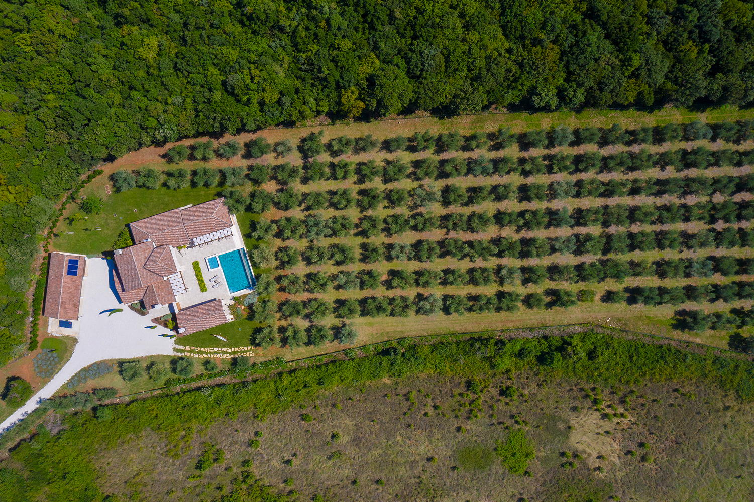 Eine Steinvilla mit Swimmingpool und Olivenhain