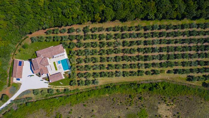 Stone villa with swimming pool and olive grove in the quit area, 25