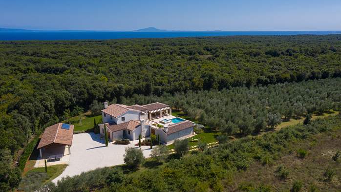 Stone villa with swimming pool and olive grove in the quit area, 5