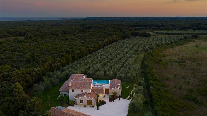 Stone villa with swimming pool and olive grove in the quit area, 24