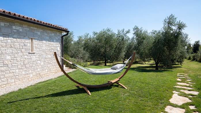 Stone villa with swimming pool and olive grove in the quit area, 13