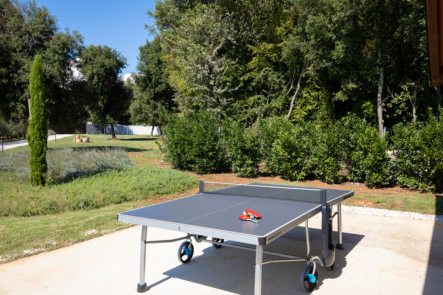 Eine Steinvilla mit Swimmingpool und Olivenhain