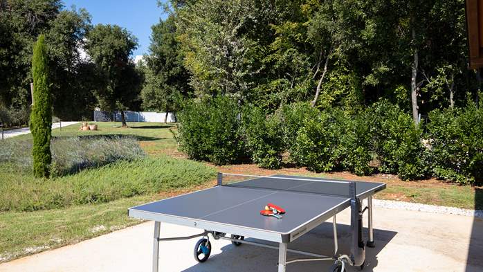 Stone villa with swimming pool and olive grove in the quit area, 20