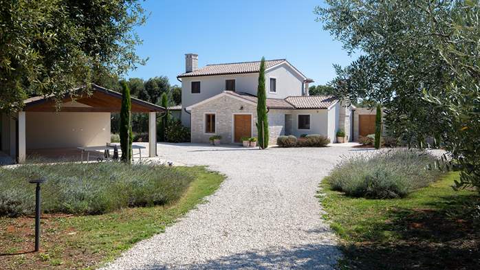 Stone villa with swimming pool and olive grove in the quit area, 21