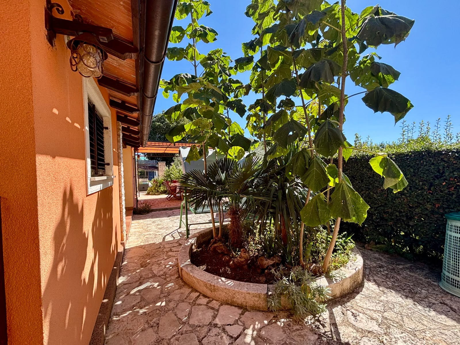 Casa Dominik
