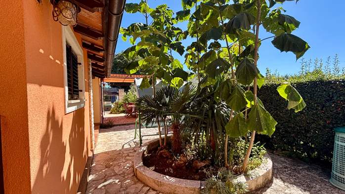 Apartman Dominik s prostranim apartmanom u prizemlju, 18
