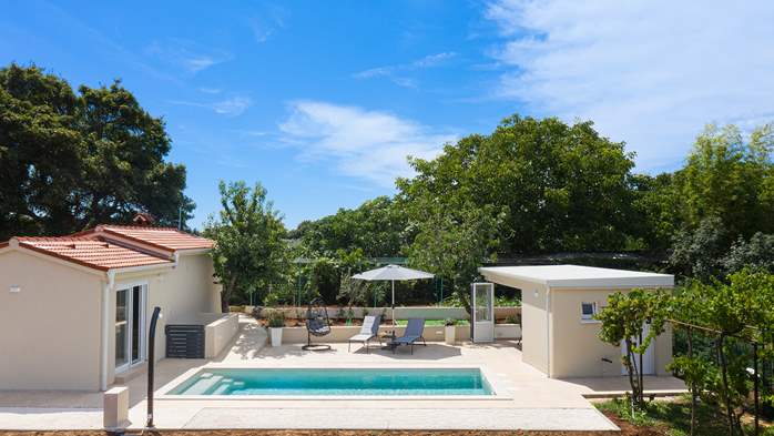 Villa Cvita in Šišan with private pool and summer kitchen, 3