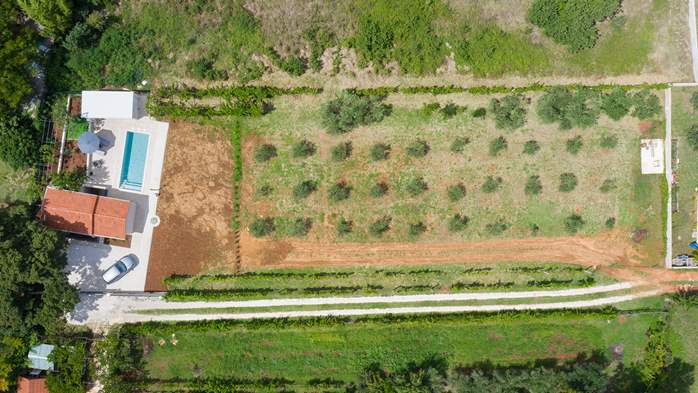 Villa Cvita in Šišan with private pool and summer kitchen, 18