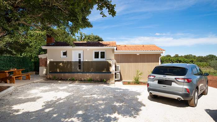 Villa Cvita in Šišan with private pool and summer kitchen, 10