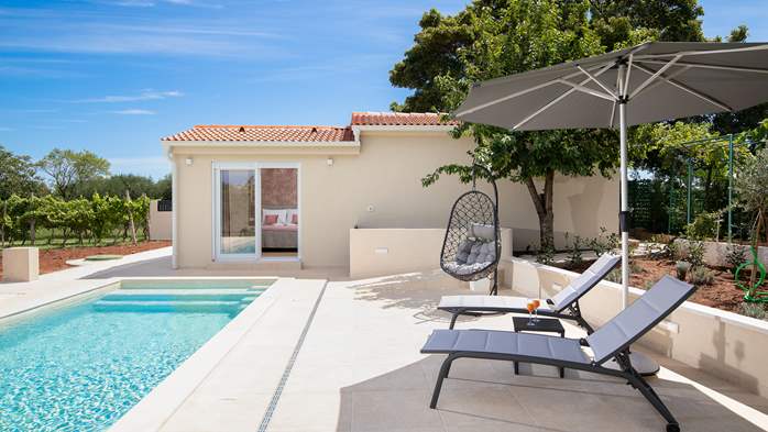 Villa Cvita in Šišan with private pool and summer kitchen, 5