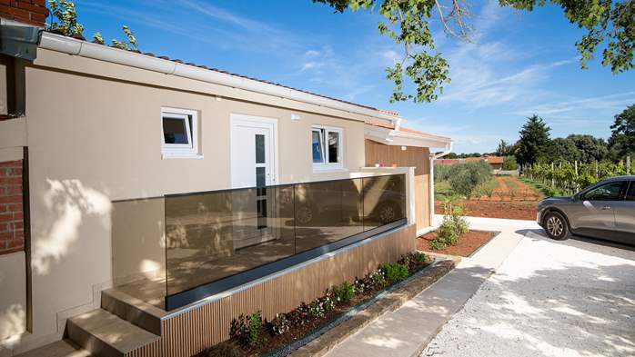 Villa Cvita in Šišan with private pool and summer kitchen, 11