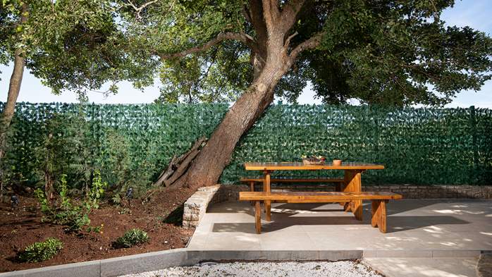 Villa Cvita in Šišan with private pool and summer kitchen, 13