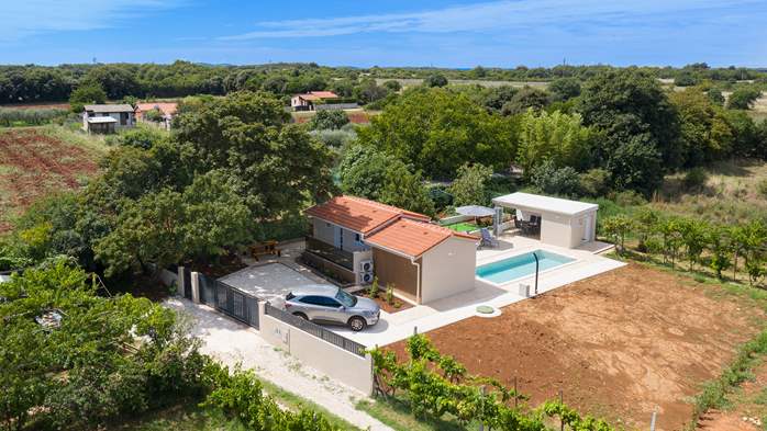 Villa Cvita in Šišan with private pool and summer kitchen, 17