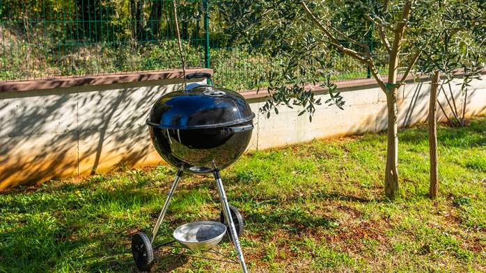 Villa Galiola near Rakalj for 6 people, 17