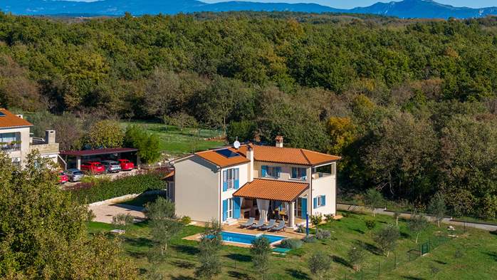 Villa Galiola near Rakalj for 6 people, 22