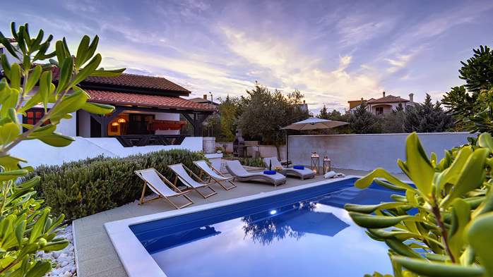 Villa in Ližnjan with private pool, sun terrace and fenced garden, 1