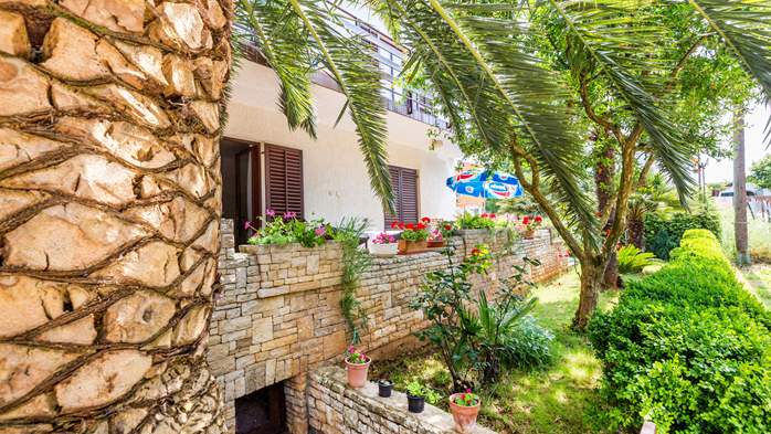 Family house surrounded by palm trees offers good accommodation, 20