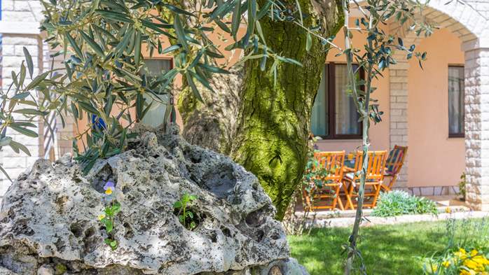 Private house in Pula offers accommodation ideal for families, 18