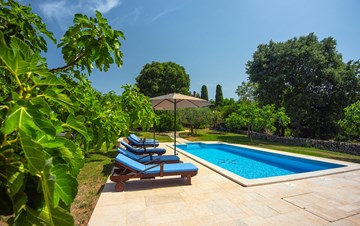 Villa tradizionale istriana in pietra con piscina e giardino
