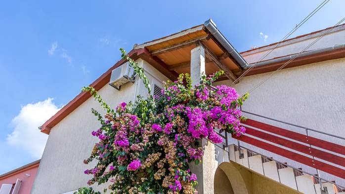 Privathaus mit Dachgeschosswohnung im Zentrum von Medulin!, 14