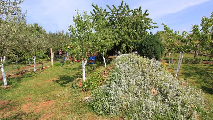 Little charming house surrounded by nature and fruit trees, WiFi, 9