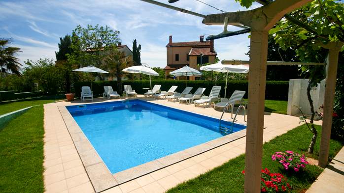 Beautiful house with pool in Medulin offers comfort accommodation, 24