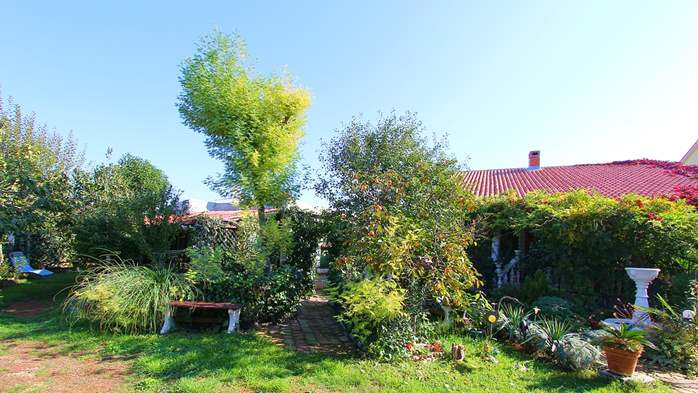 Kuća u Medulinu s lijepim vrtom i igralištem, terasa s roštiljem, 12
