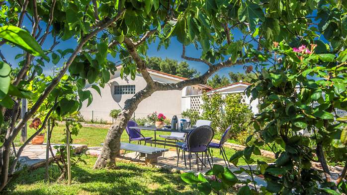 Casa con bellissimo giardino a Ližnjan offre alloggi confortevoli, 19