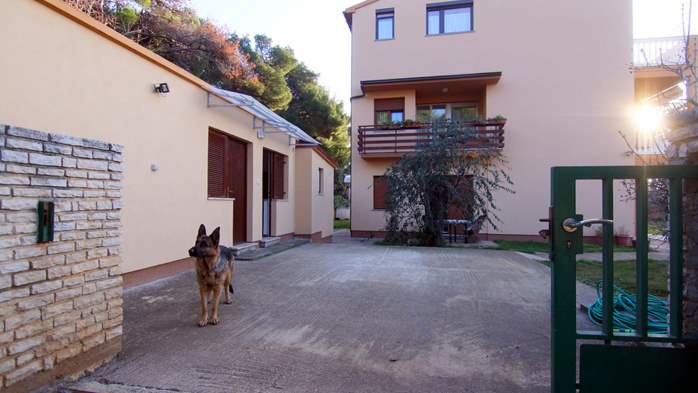 Casa a Pula offre alloggio in appartamenti a 30 m dal mare, 17