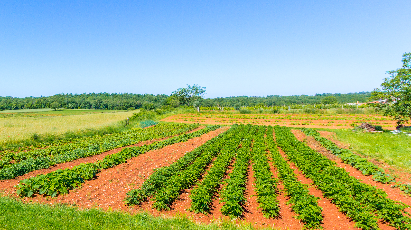 Dvojna kuća za 7 osoba sa zajedničkim vrtom i pristupom internetu