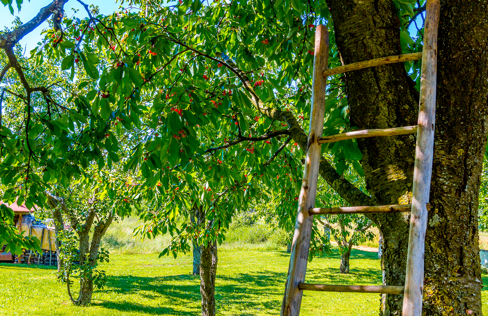 Dvojna kuća za 7 osoba sa zajedničkim vrtom i pristupom internetu