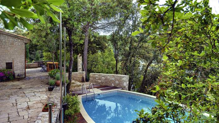 Villa with private pool, summer kitchen with a wood oven and BBQ, 4