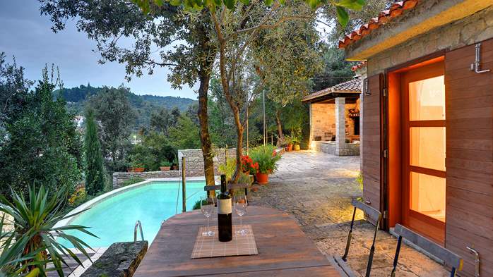 Villa with private pool, summer kitchen with a wood oven and BBQ, 3