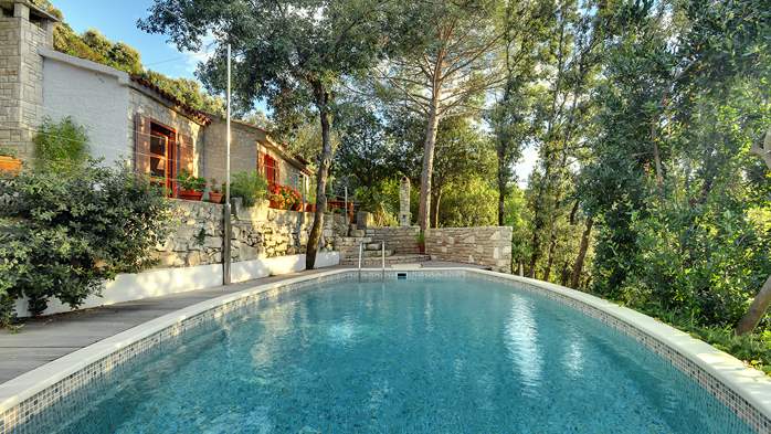 Villa with private pool, summer kitchen with a wood oven and BBQ, 5